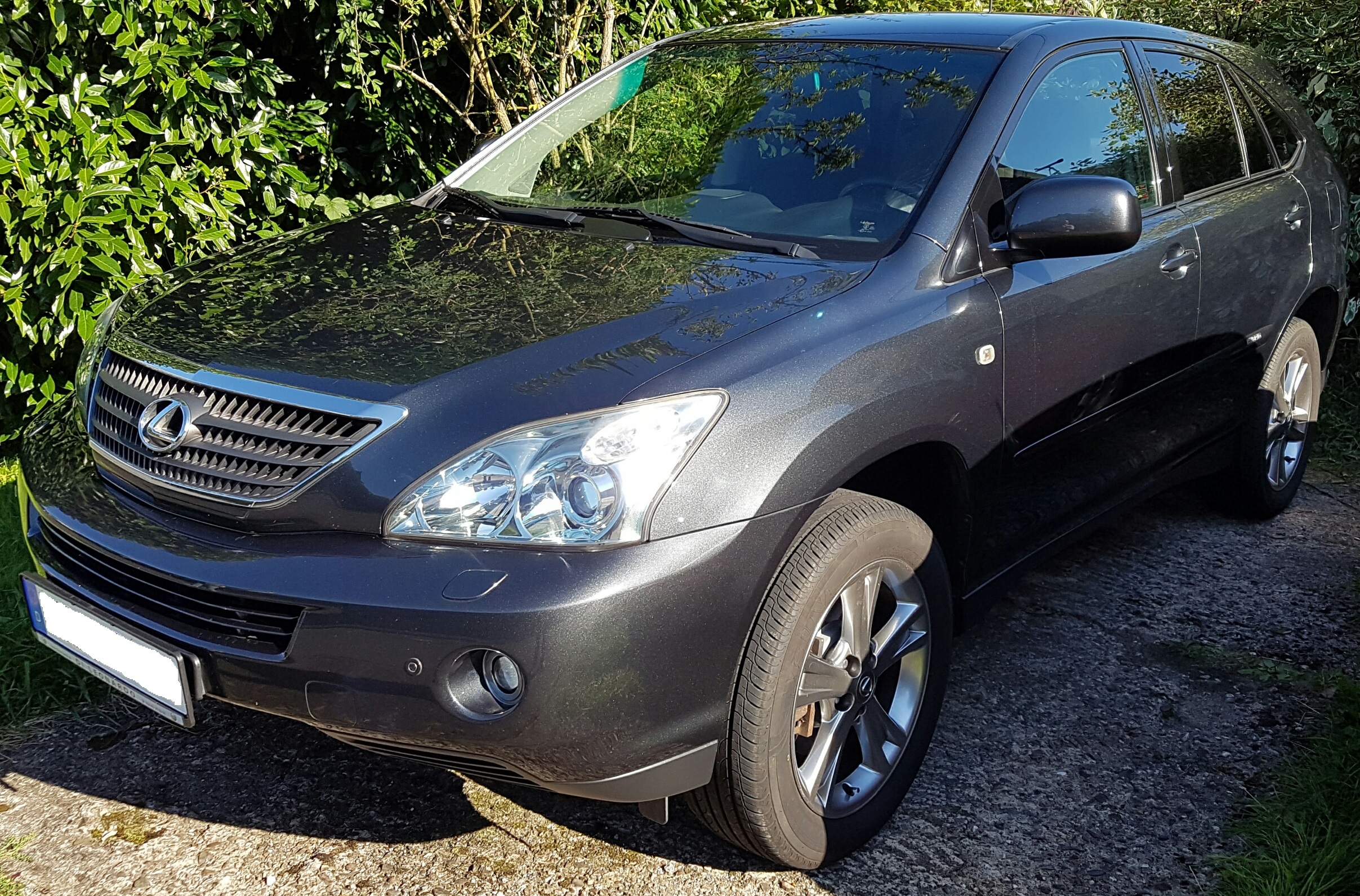 SONICs Lexus RX 400h - RX 300/350/400h - Lexus Owners Club Europe